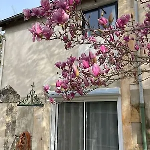 7 Rayons Avignone